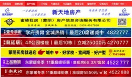 蒙阴县最新爆料信息网,揭秘当地热点事件与民生动态